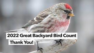 2022 Great Backyard Bird Count - The event was a hit! screenshot 5