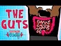 Operation Ouch - The Guts | Biology Lessons for Kids