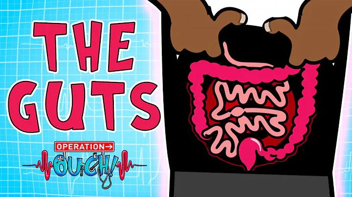 Operation Ouch - The Guts | Biology Lessons for Kids