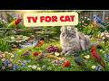 🔥 Once Pets Start Watching… They’re Hooked! 🐦😺🐶 Sunny Garden Bird Show | Ultimate Pet TV 4K