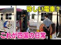 アンパンマン列車同士の連結！夕方の多度津駅。8000系特急しおかぜ号と特急いしづち号が連結して発車する！