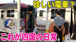 アンパンマン列車同士の連結！夕方の多度津駅。8000系特急しおかぜ号と特急いしづち号が連結して発車する！