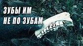 Добрые походы - Лесная Жизнь, Избы, Тайга