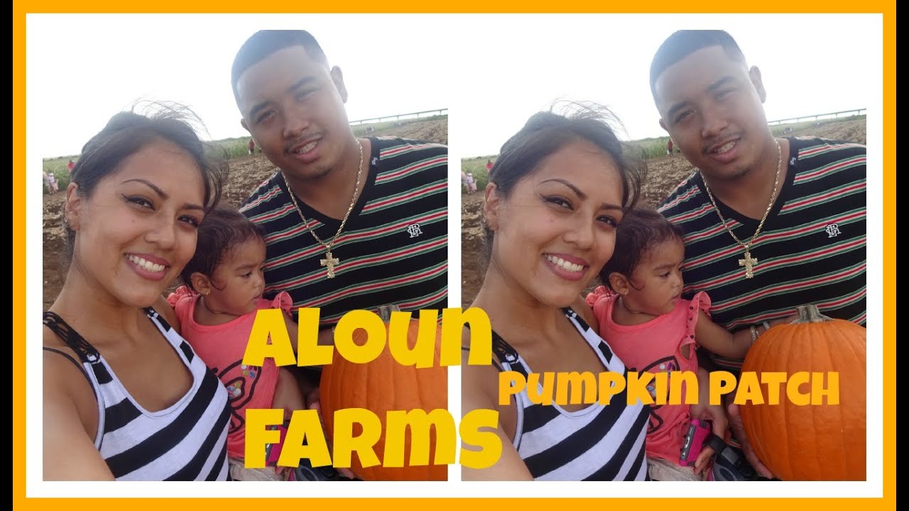 Aloun Farms Pumpkin Patch October 18, 2015 Ex2L YouTube