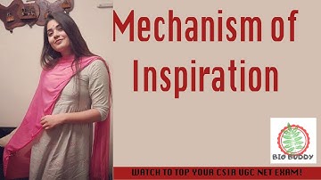 Csir Net Life Science Lectures Module Wise Chapter Two Part Six| Mechanism of Inspiration |