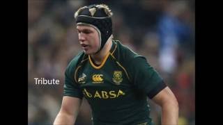 Pieter-Steph Du Toit Tribute **Eben's Bok Lock Partner**