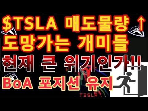   TSLA 도망가는 개미들 많은 매도물량 현재 큰 위기인가 BoA Tesla 중립 등급 유지 테슬라 투자 나스닥 미국 증시