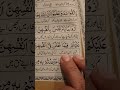 Surah Baqarah ayat no 234 #quranictranslation #islamicscripture #tarjma