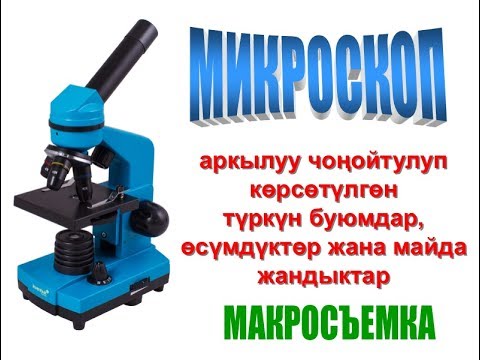 Video: Электрондук микроскопто жарыктын булагы эмне?