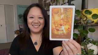 Leo Tarot - 💫 The Halo Effect.