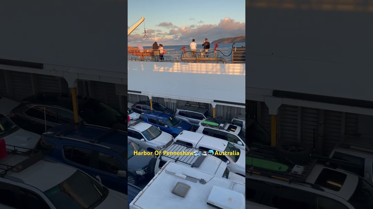 Harbor Of Penneshaw🌊🛥️🐬Australia #kangarooisland #southaustralia #cruise #schoolholidays