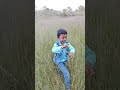 Wonderful Nature