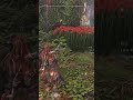 HORIZON FORBIDDEN WEST COMPLETE EDITION PS5 BURROWER MACHINE DEFEAT full gameplays ok channel