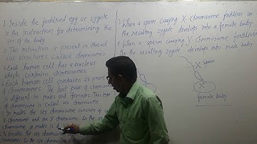 NCERT class eight science Chapter 10 Reaching the age of Adolescence part 5.