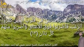 @يتلوعلينا القارئ الحافظ فضيلة الشيخ محمد عليوي ماتيسر من سورة الأنفال من الآية(٩) حتى الآية(١٦)ص١٧٨