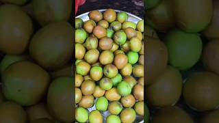 बर क अचरBer Ka Achar