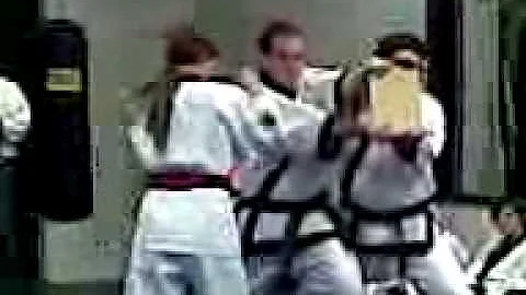 Susan's Tang Soo Do Test