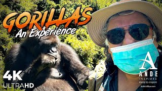 Travel vlog - Up-Close with Rwanda's Mountain Gorillas | Ultimate Gorilla Trekking | Ande Inspires