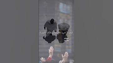 تلاوة عطره من سورة الذاريات✨️