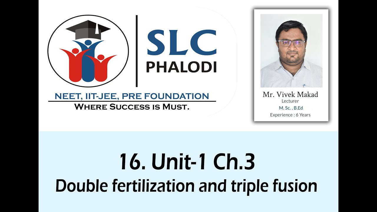 16 Double Fertilization And Triple Fusion YouTube
