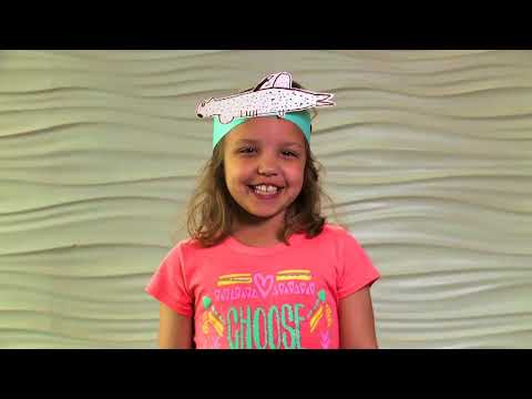 Get Your Feet Wet: Little Sharks! | Splash and Bubbles