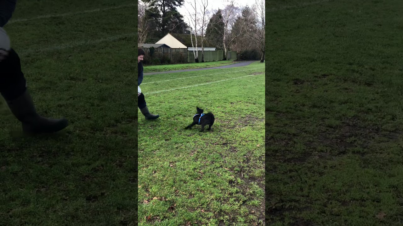 Footballer Jack - YouTube