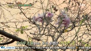 정글의법칙 131108 #19(3)