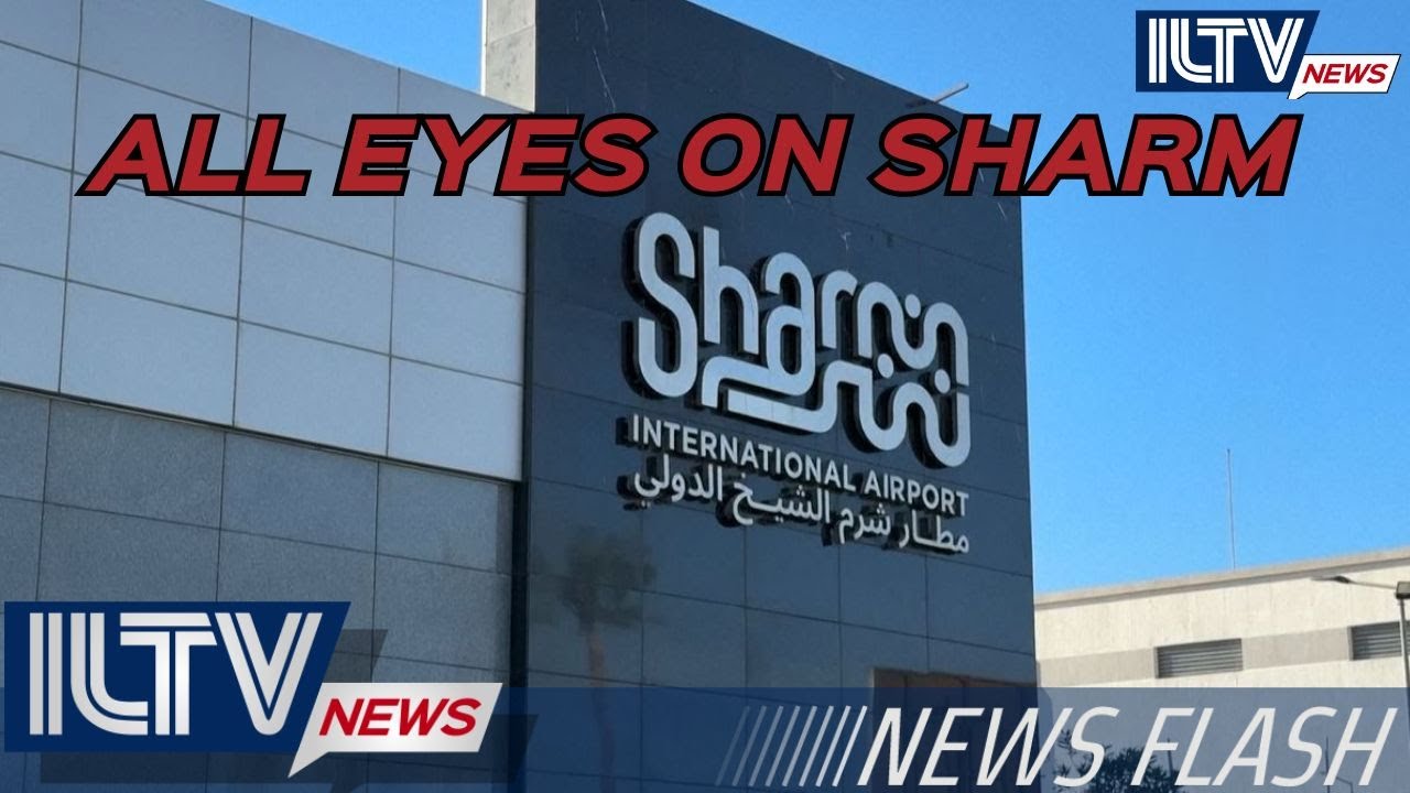 Утренний выпуск новостей ILTV – День войны 733 | 8 октября 2025 г.