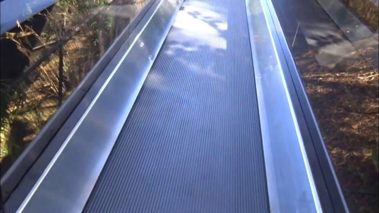 Flat Escalators at the San Diego Zoo YouTube