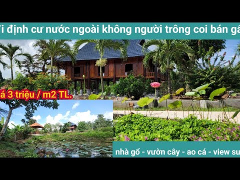 Video Bán đi định cư nước ngoài - tặng hết - view suối - nhà... - youtube