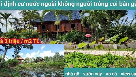 Bán đi định cư nước ngoài - tặng hết - view suối - nhà gổ - lục giác - vườn cây trái đủ loại - ao cá