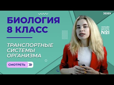 Транспортные системы организма. Урок 14. Биология 8 класс