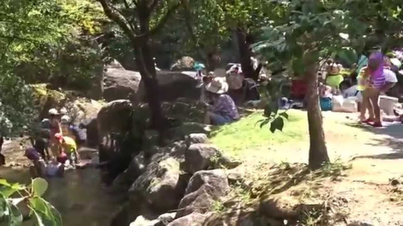 川遊び 一本松公園 昭和の森 水遊び最高 総合編 Youtube 川遊び 一本松公園 昭和の森 水遊び最高 総合編 Youtube