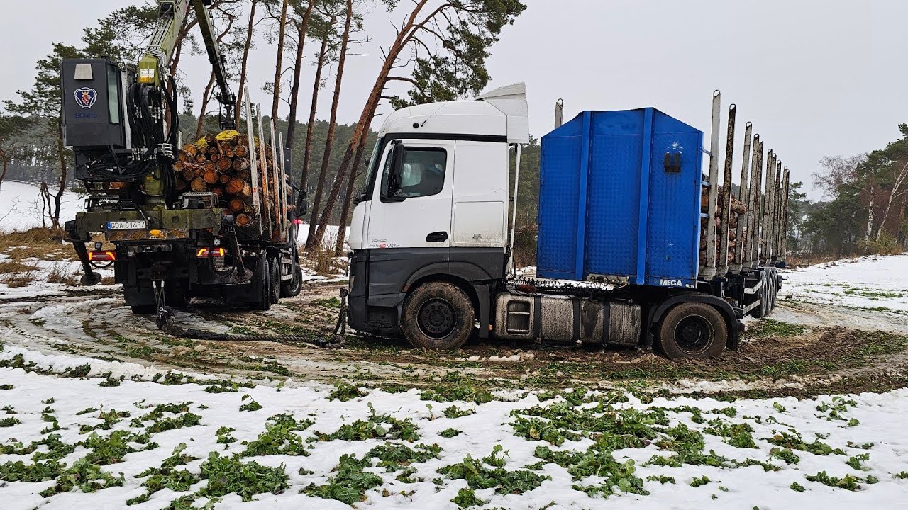 Leśna przygoda #563 CO TU SIĘ DZIEJE 😱😱