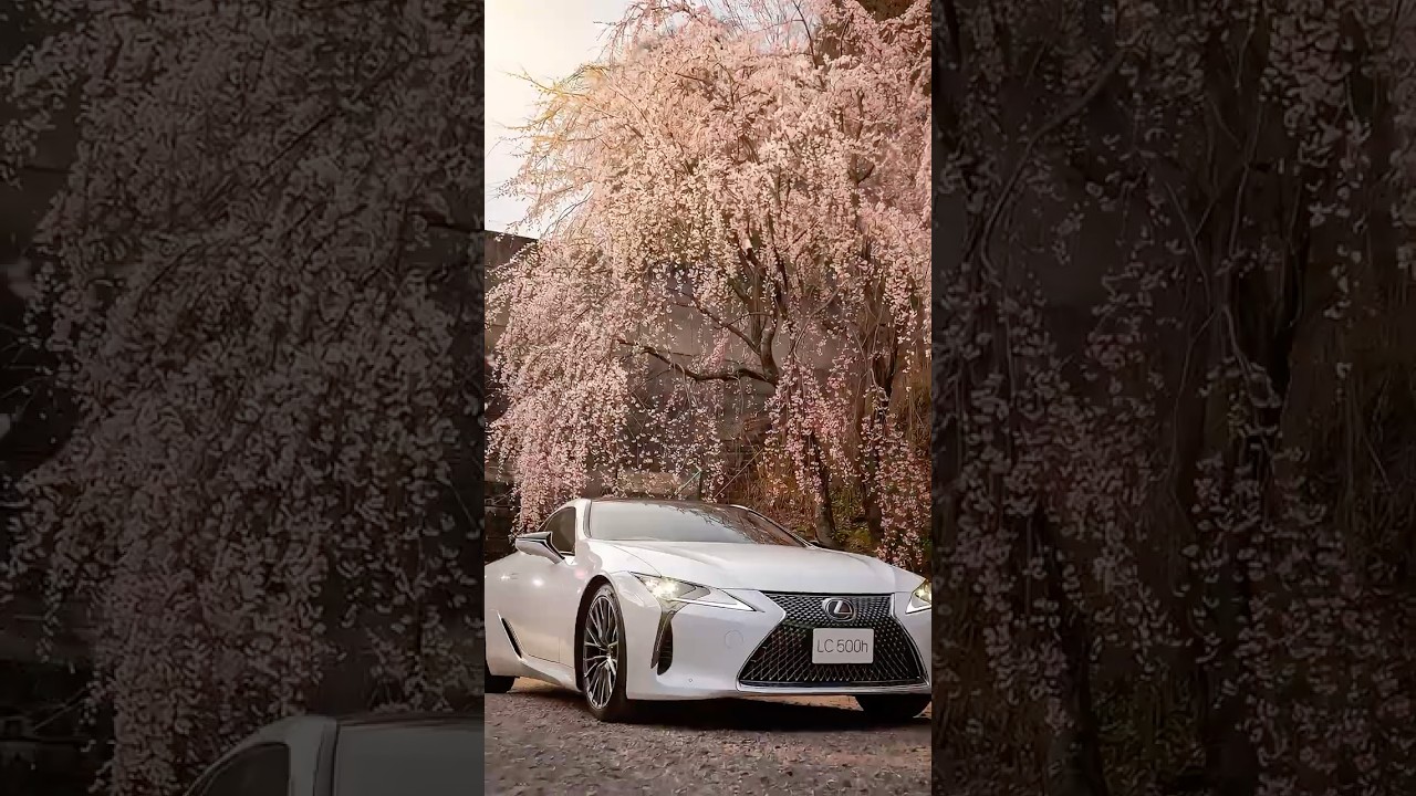 LEXUS LC