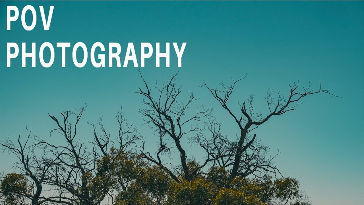 POV Photography in the Barossa Valley || Part 2