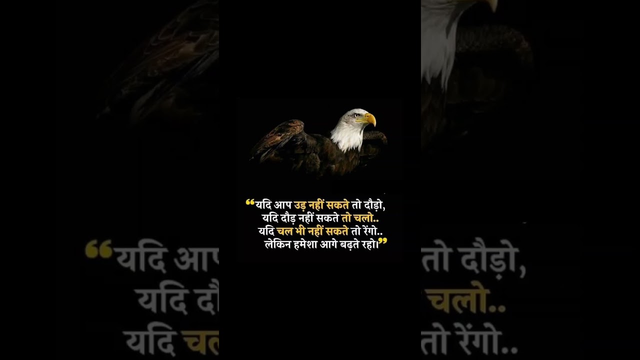 motivational quotes / 