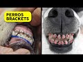 25 Cosas que no sabías en 5 minutos! ⏰ [125]