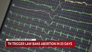 TN Trigger Law bans abortions in 30 days