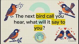 Unveiling the Fascinating World of Wild Birds【Birding Explained】