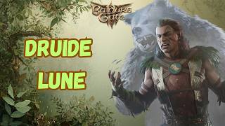 The Druid of the Circle of the Moon | Multiclass or Not | BG3 Patch 8 Honor Build Guide
