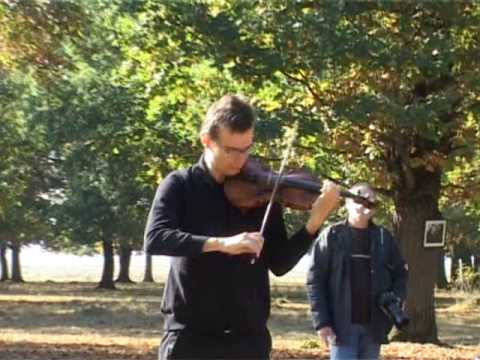 Alexandru Tomescu -concert pentru stejari