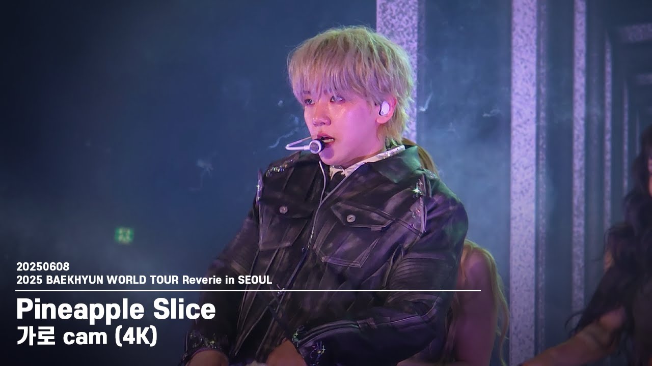 20250608 백현 'Pineapple Slice' - Reverie in SEOUL Day2 가로 직캠 4K