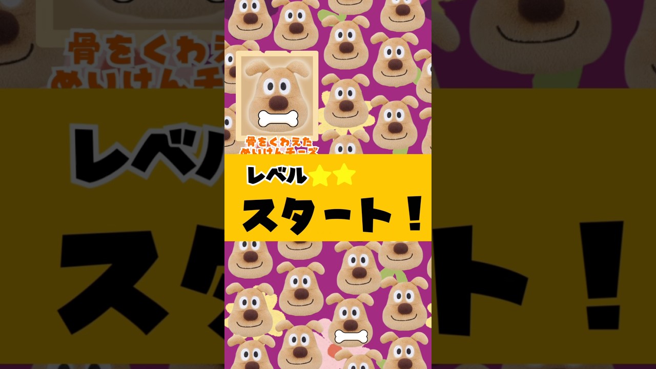 さがせ‼︎】骨をくわえためいけんチーズどーこだ