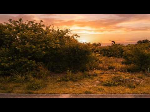 2424 42nd Street, Vero Beach, FL home video tour
