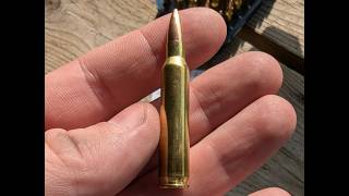 .223 Remington - Shooter's World Patriot powder; testing 55gr and 77gr with multiple primers