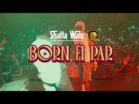 Shatta Wale - Bon FI Par (Official Video)