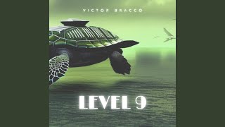 Level 9