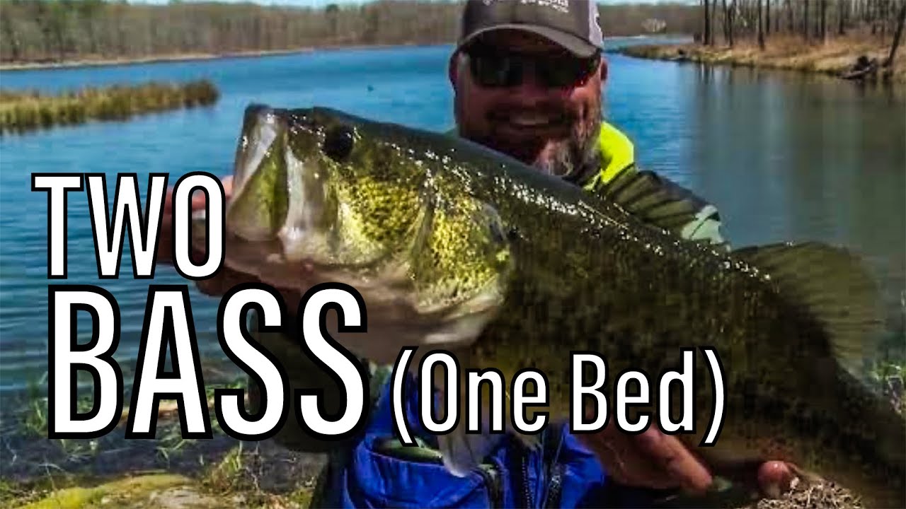 Catching GIANT BASS (Throwback EPIC DAY)