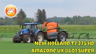 Spraying 2025 | New Holland T7.275 & Amazone UX 8601 Super